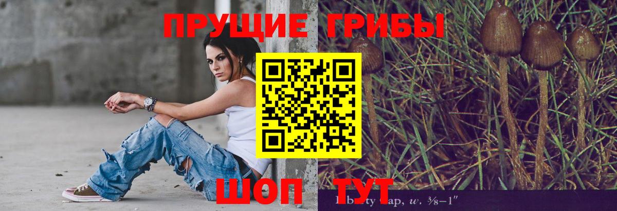 Симферополь  Псилоцибиновые грибы Psilocybine cubensis  Вход с VPN 