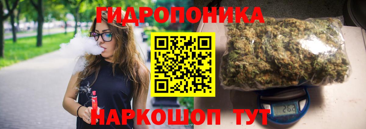 Бошки Шишки MAZAR Симферополь